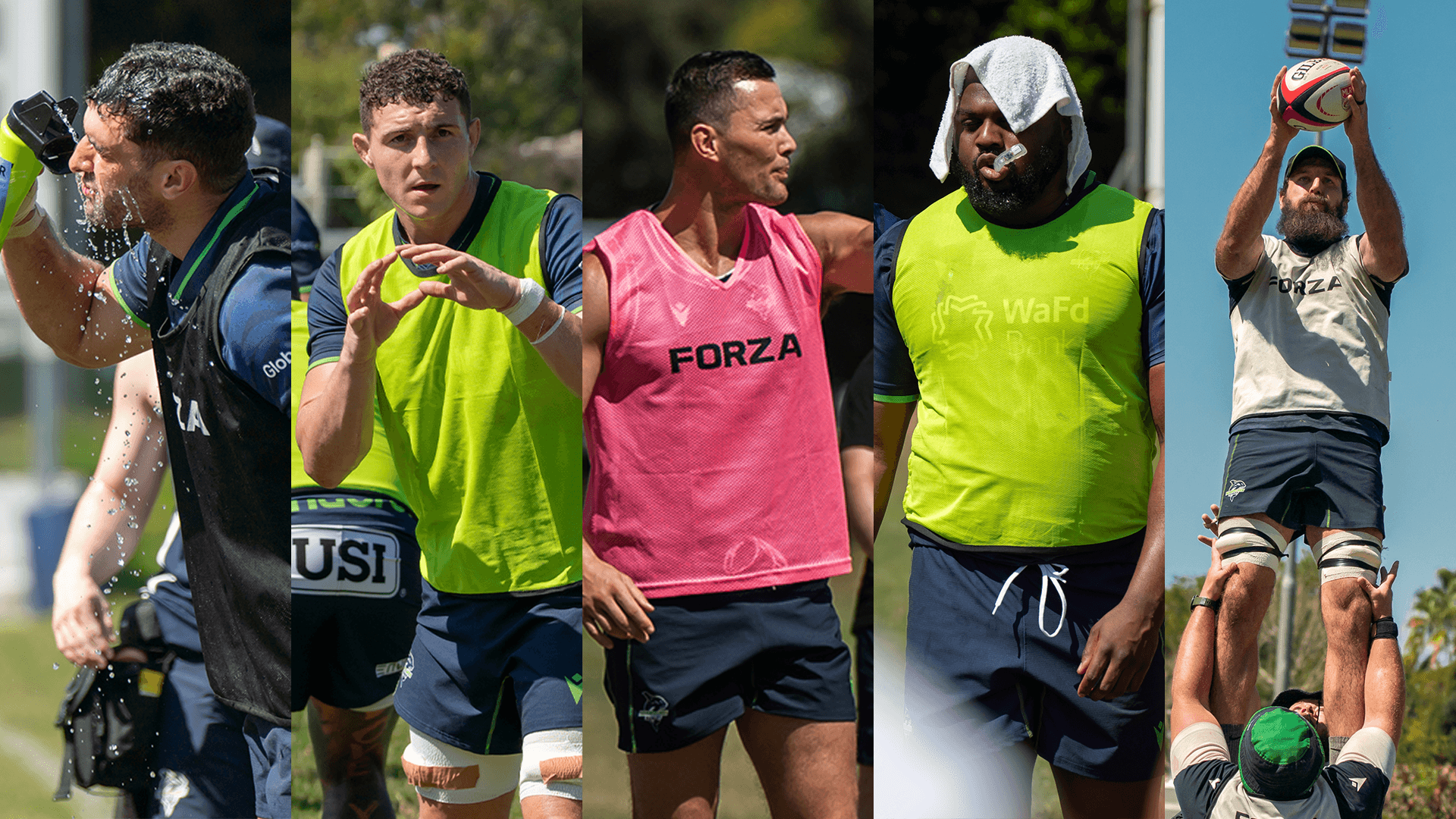 Seattle Seawolves Prepare in South Africa Ahead of 2026 MLR Season